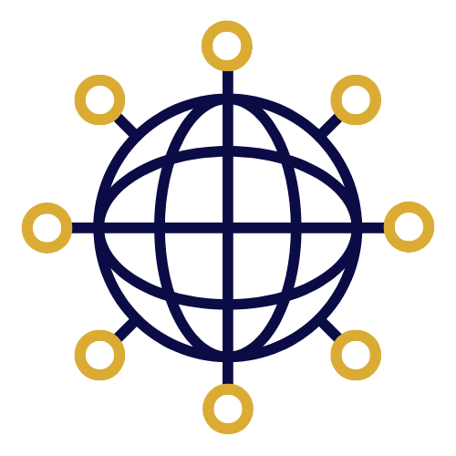 Network Icon